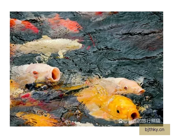 味蕾的温度，生活的调色板——解锁“汤头条”的治愈力